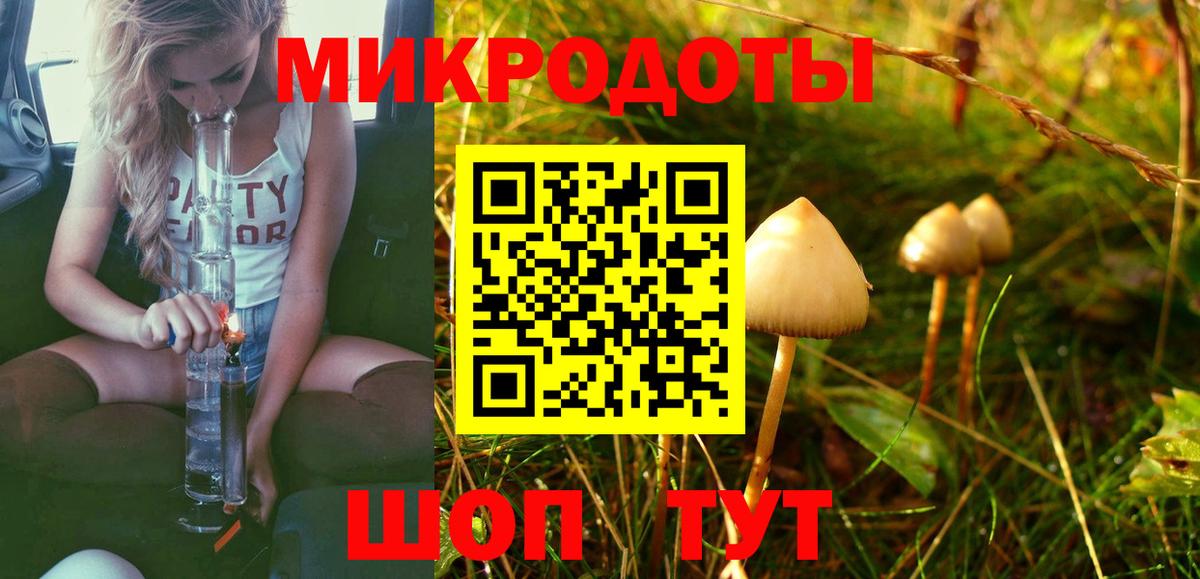 Назрань  Псилоцибиновые грибы Cubensis  Вход с VPN 