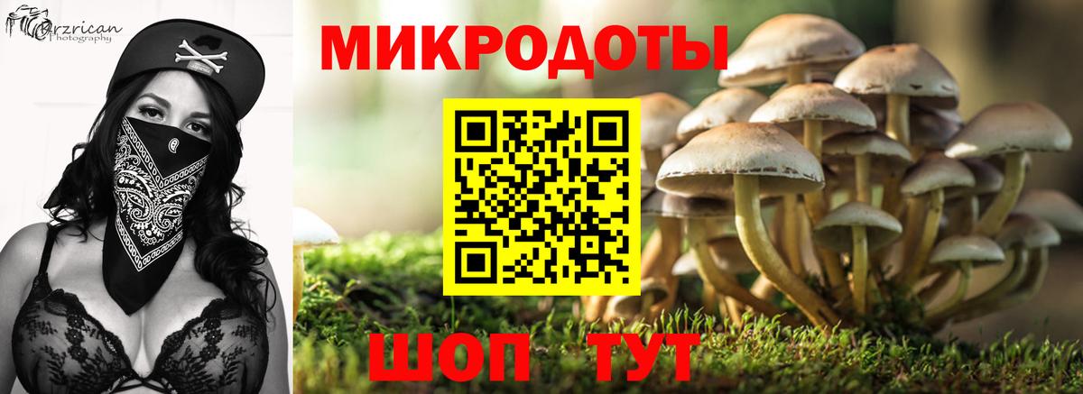 Псилоцибиновые грибы GOLDEN TEACHER Назрань