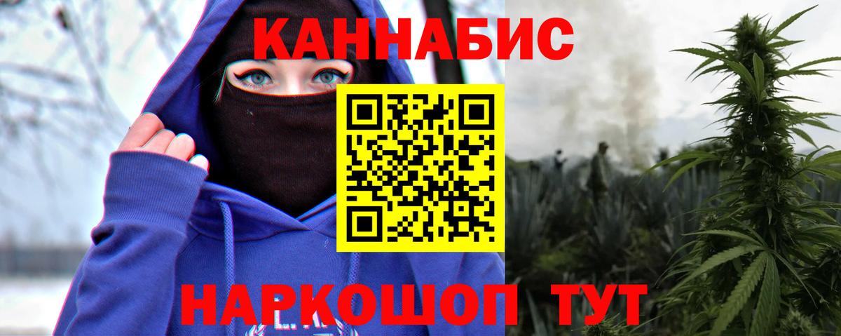 Бошки Шишки планчик Назрань